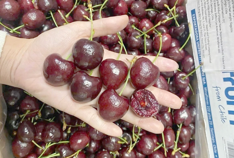 Trái cherry giá bao nhiêu và vì sao mỗi mùa lại khác nhau?