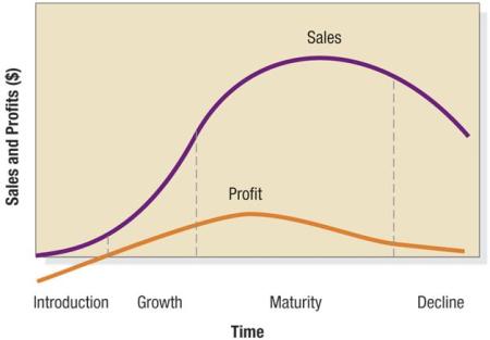 Xây dựng thương hiệu: Vòng đời của thương hiệu (Brand Lifecycle) - VINA BRAND