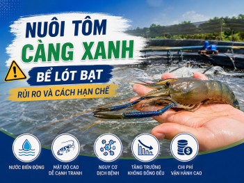 Kiến thức