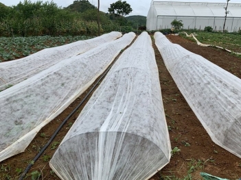 Ứng dụng từ vải không dệt tái chế trong sản phẩm thực tế