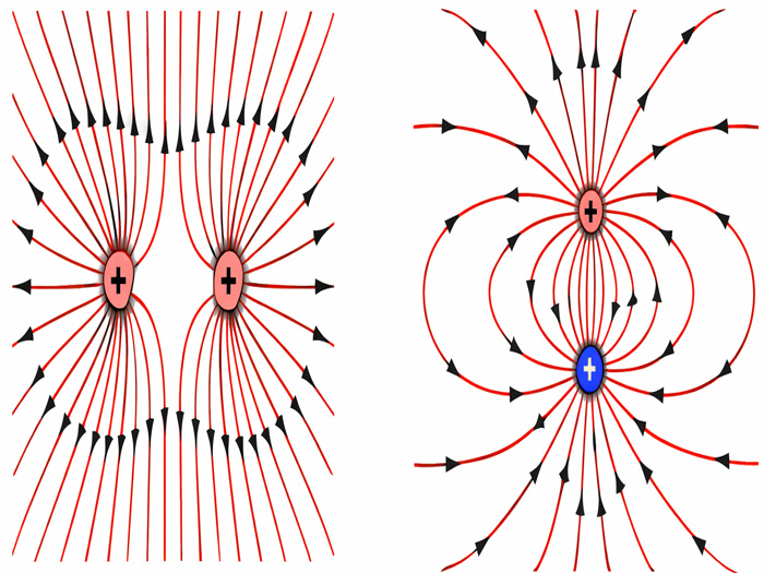 lực điện trường là lực gì